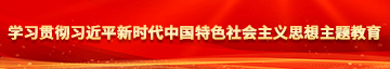 草烂我的骚逼学习贯彻习近平新时代中国特色社会主义思想主题教育